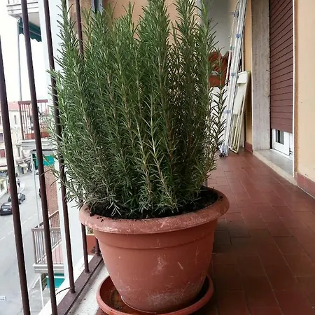 La Via Per Milano Guest house